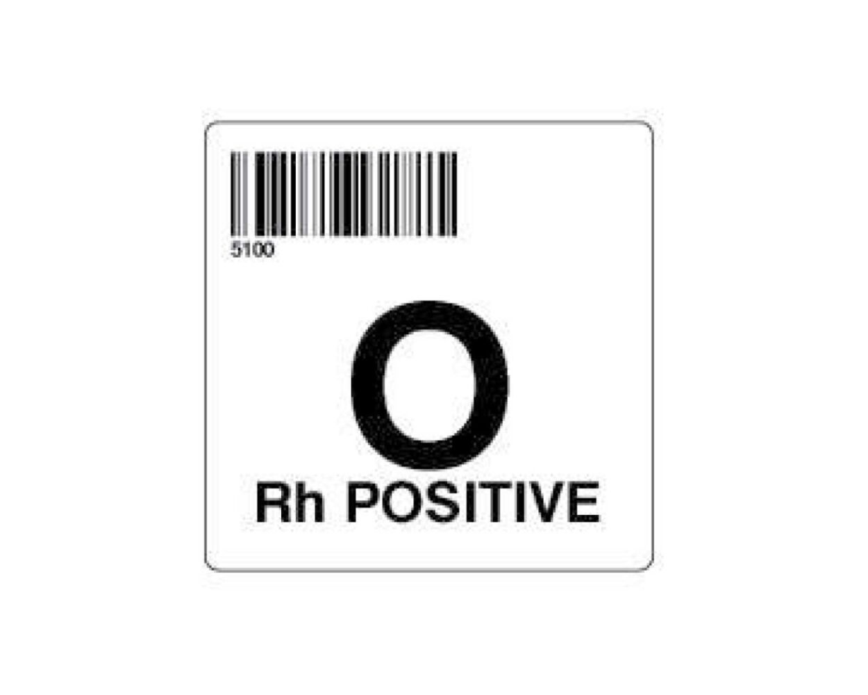 O Positive Blood Type O+ Donor Donate Blood' Insulated Stainless