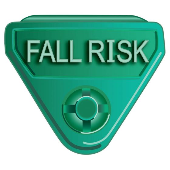 WBCLASP-FR4 - HWB IAS ALERT EMB "FALL RISK" 250PKGN